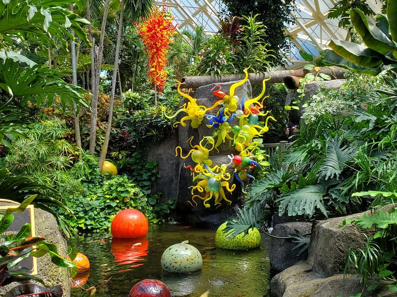 Franklin Park Conservatory Fills Winter With Color