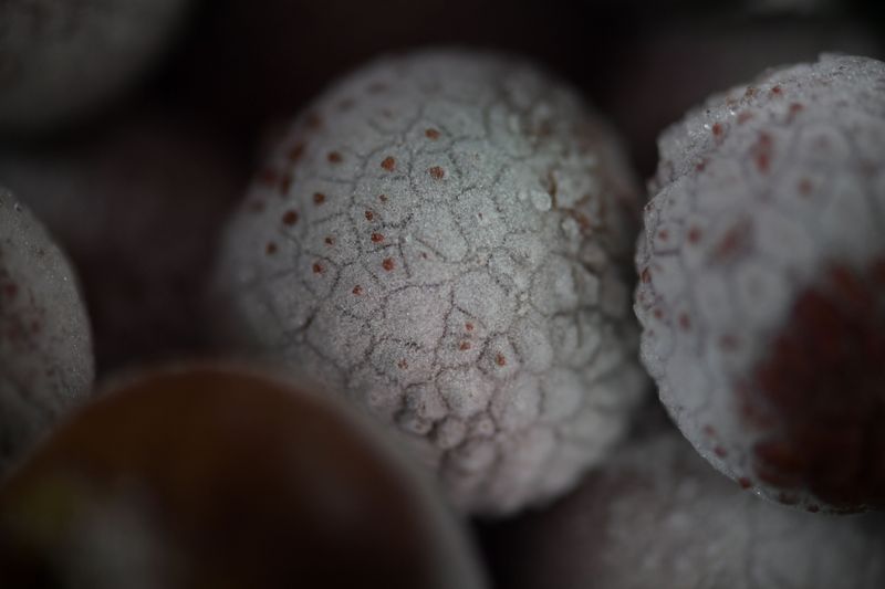 Freeze The Fruit Whole For Later Projects Freeze The Fruit Whole For Later Projects