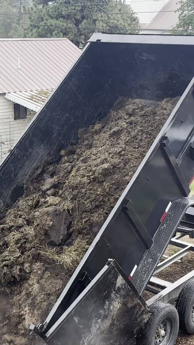 Fresh Manure Can Burn Plants Fresh Manure Can Burn Plants