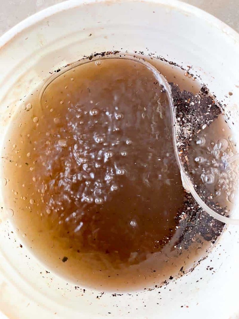 Fresh Peel Water Delivers an Unpredictable Dose
