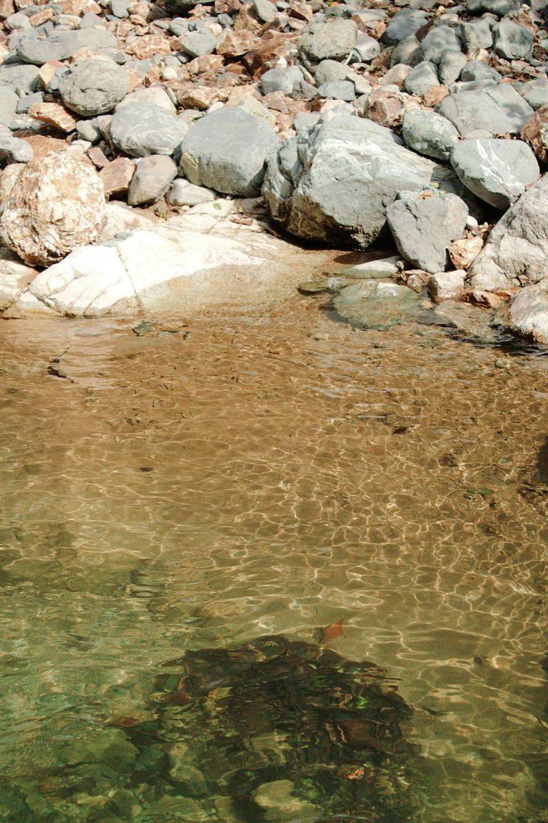 Fresh Shallow Water Beats Seed In Late Summer Heat Fresh Shallow Water Beats Seed In Late Summer Heat