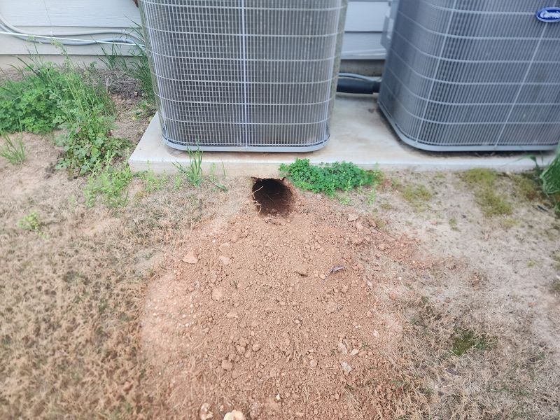 Fresh Soil Beside The Foundation Can Be The First Sign Of Digging Fresh Soil Beside The Foundation Can Be The First Sign Of Digging