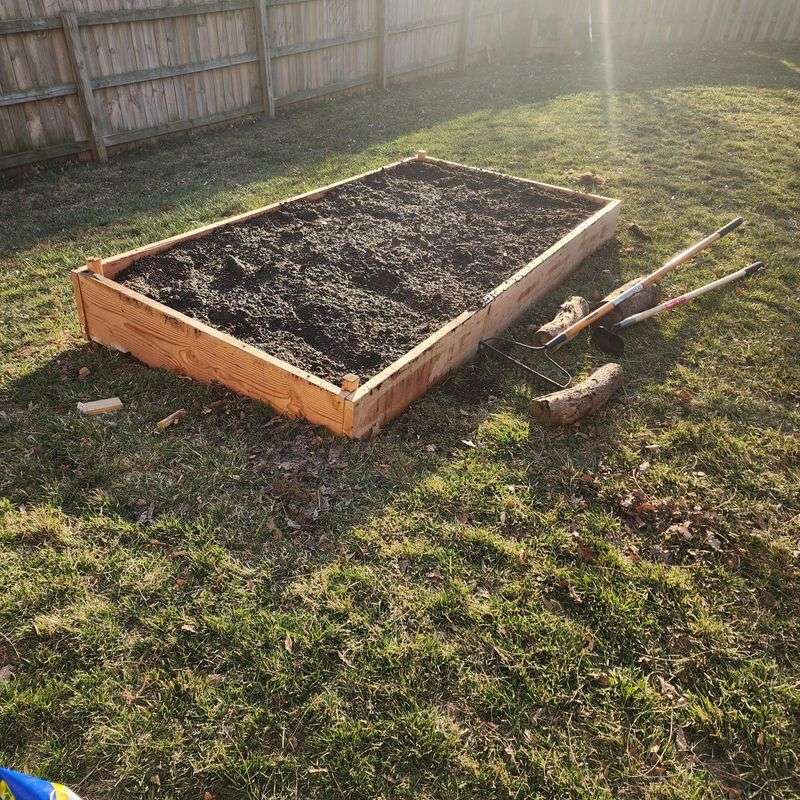 Fresh Topsoil If The Bed Has Lost Volume