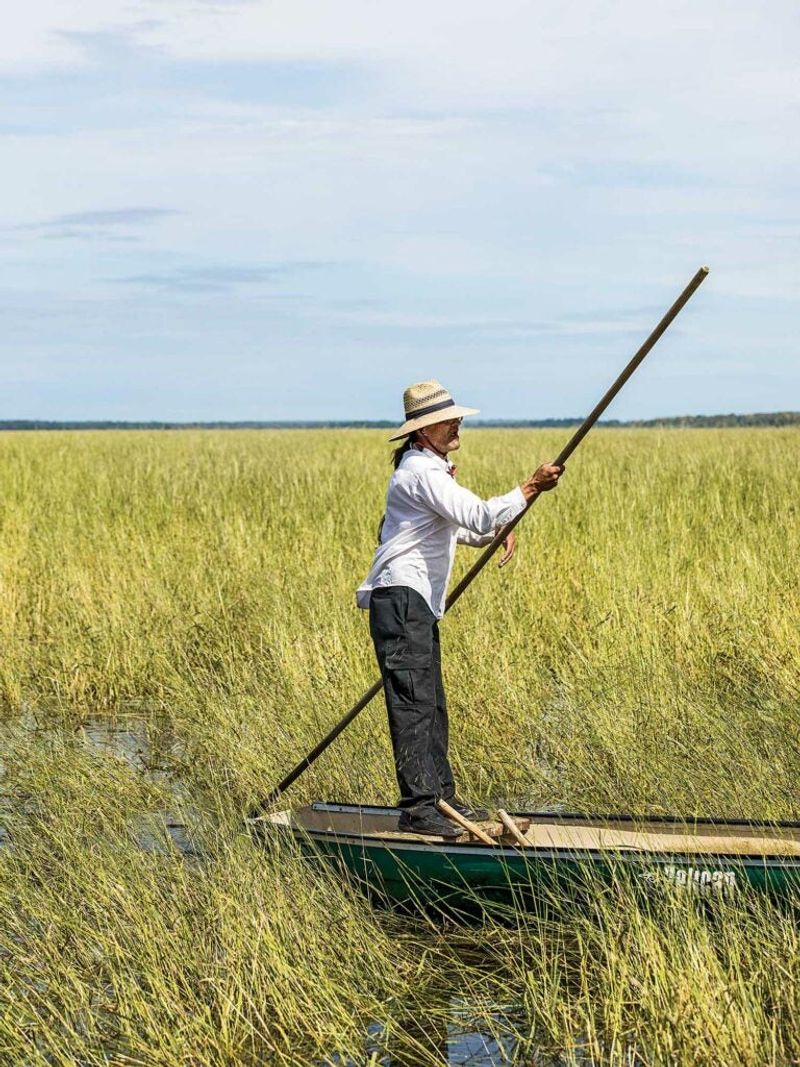 From Green Grain To Table From Green Grain To Table