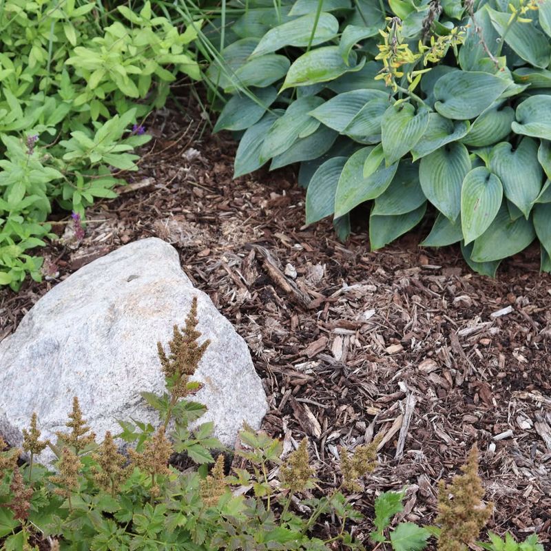 Frost Heaving Can Lift New Plants