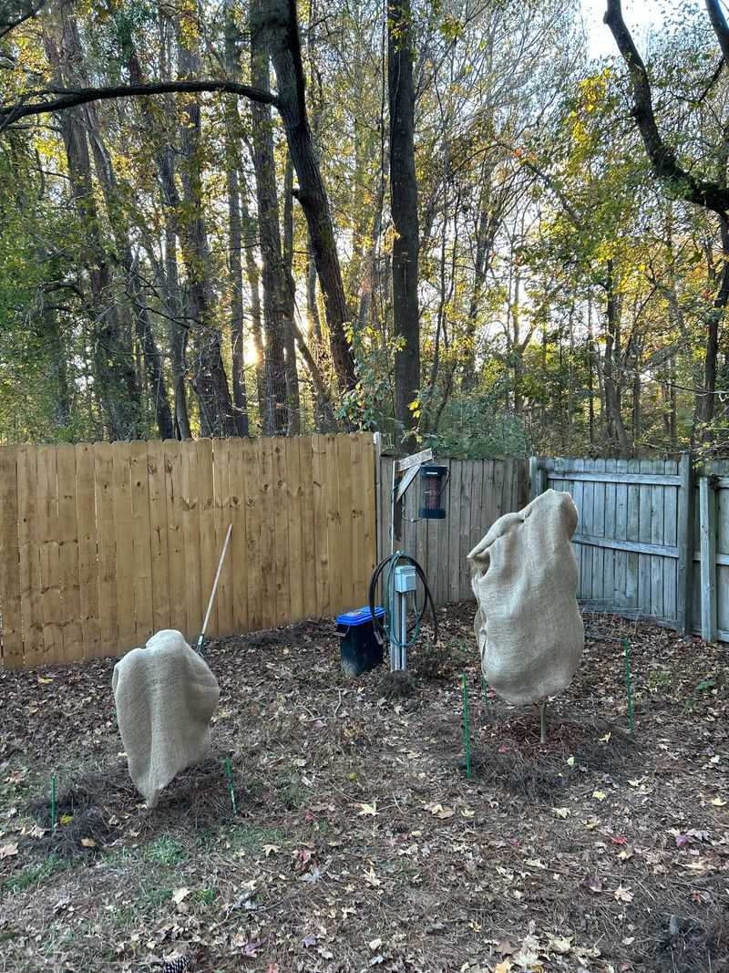 Frost Prep Starts Earlier Than You Think Frost Prep Starts Earlier Than You Think