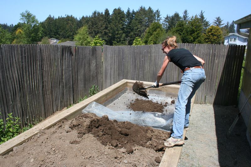 Garden Beds Can Offer A Richer Underground Buffet Garden Beds Can Offer A Richer Underground Buffet