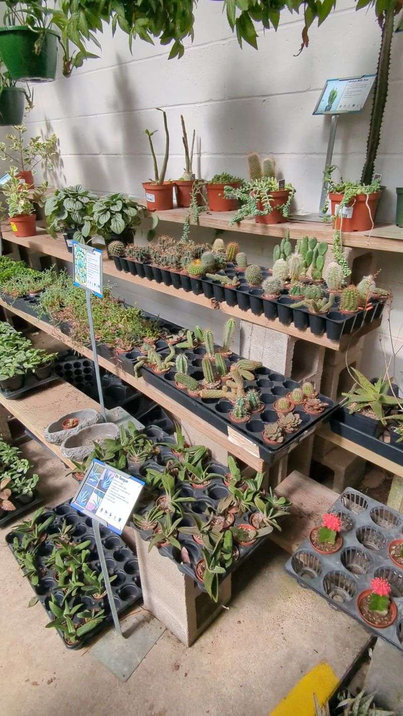 Garden Gate Nursery Has Served Gainesville Since 1967