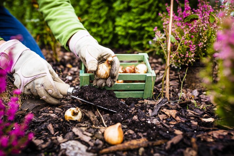 Gardeners Spend More Time In Tick Zones Gardeners Spend More Time In Tick Zones