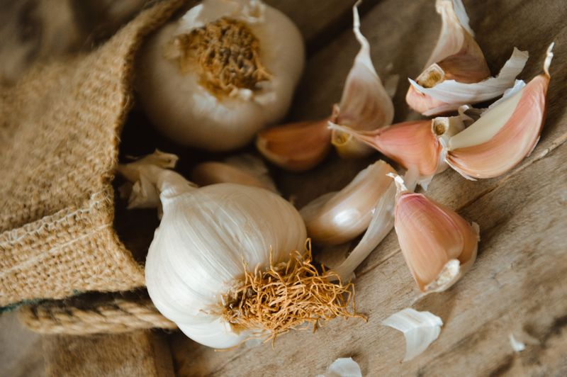 Garlic Cloves For A Flavor-Packed Summer Harvest Garlic Cloves For A Flavor-Packed Summer Harvest