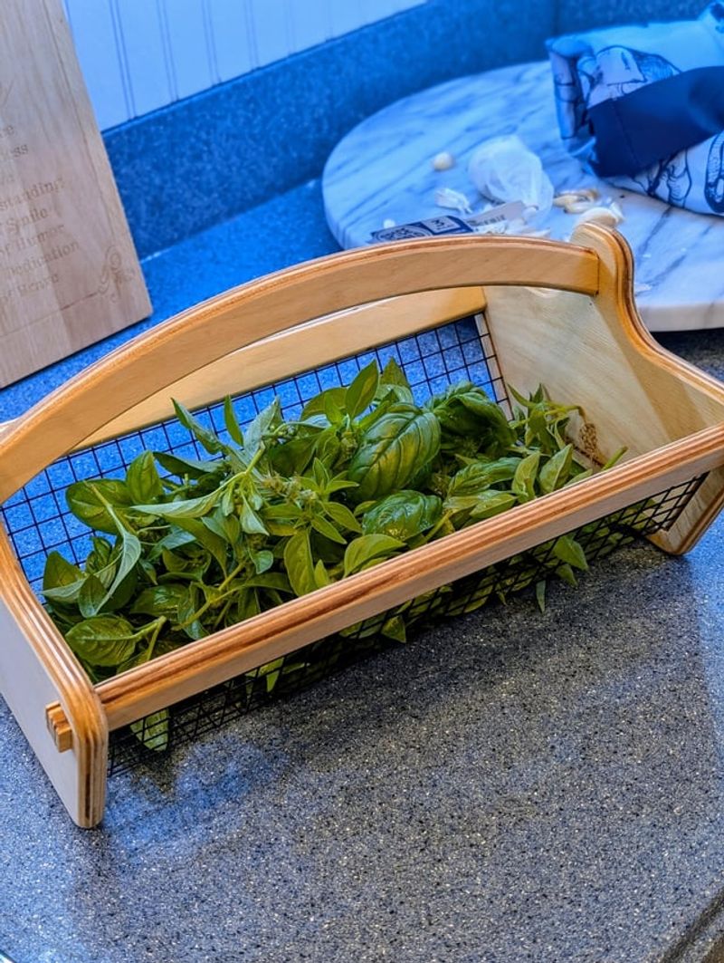 Gather Basil Before The First Cold Snap Gather Basil Before The First Cold Snap