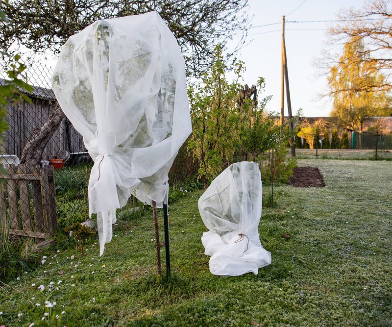 Gathering Florida Cold Protection Supplies Before Winter Cold Hits