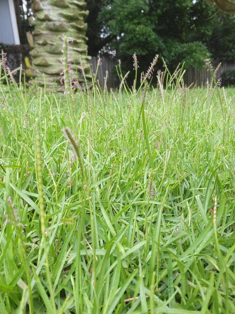 Gentle Recovery Steps For September And Beyond