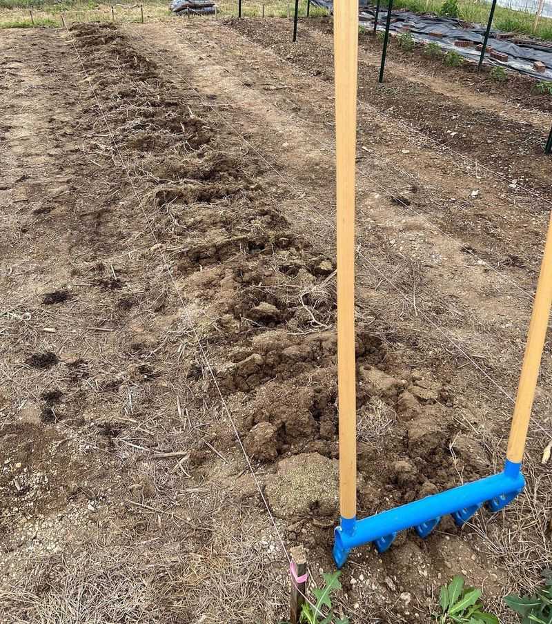 Gentle Soil Loosening Works Better Than Digging Deep