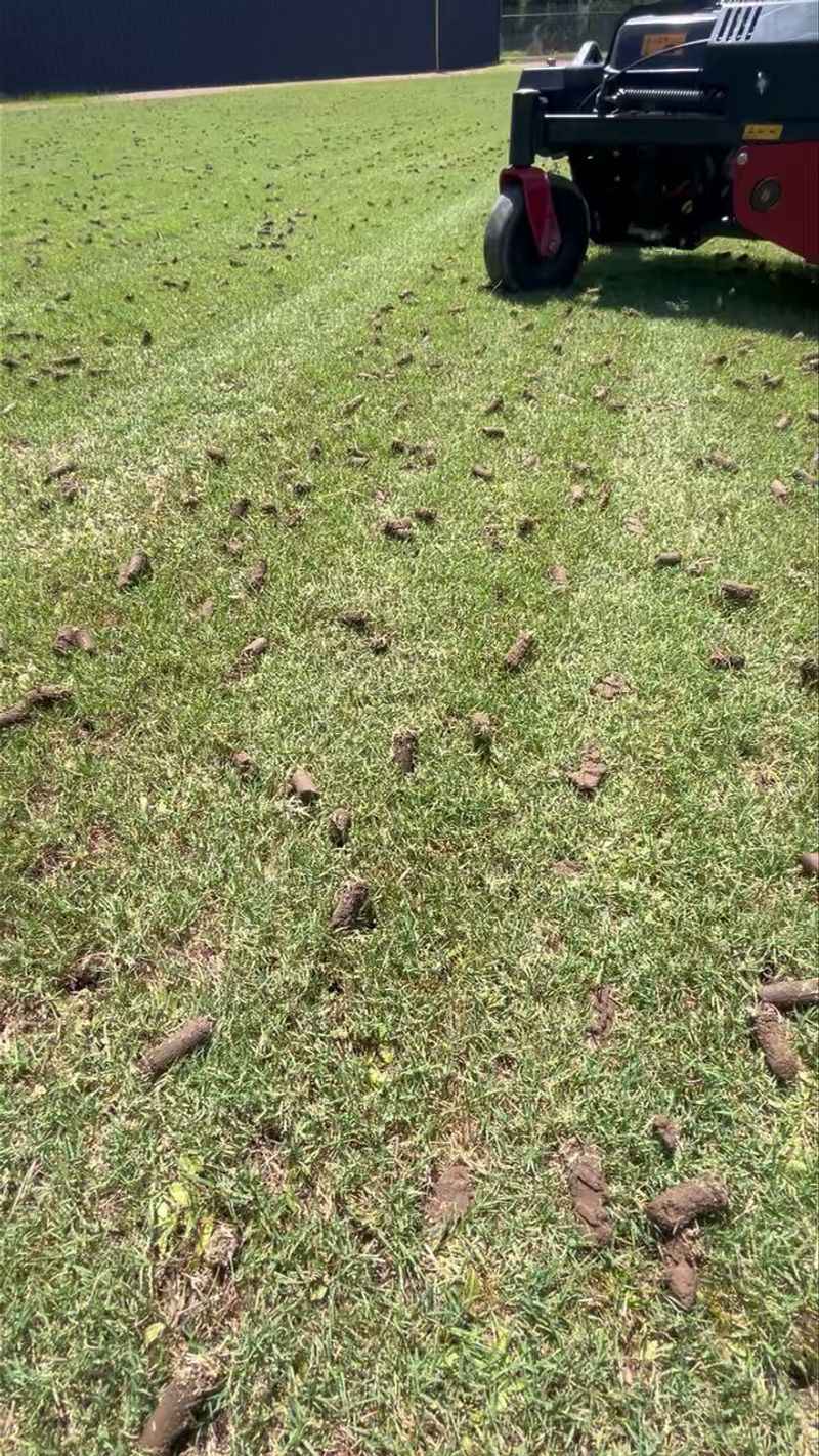Georgia Red Clay Quietly Starves Your Grass Roots