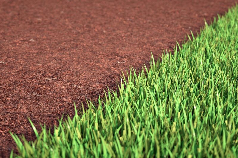 Get The Seeding Rate Right Get The Seeding Rate Right