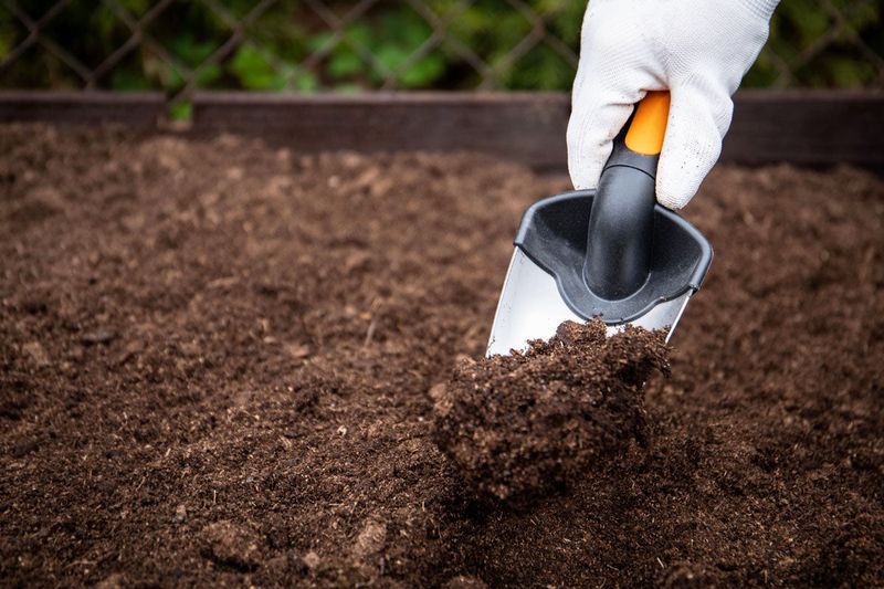 Get The Soil pH In The Right Range