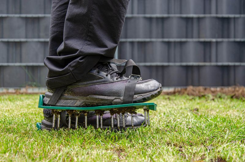 Give Cool-Season Grass Time To Recover Give Cool-Season Grass Time To Recover