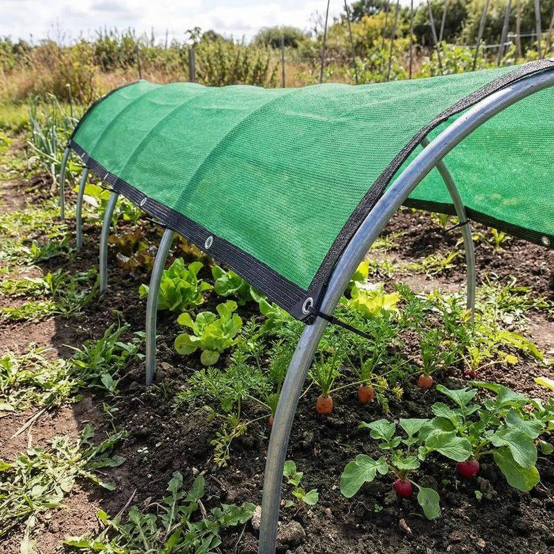 Give Exposed Seedbeds Temporary Shade Give Exposed Seedbeds Temporary Shade