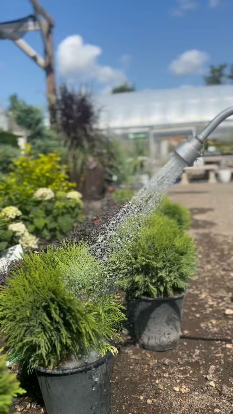 Give New Plantings a Deep Drink Give New Plantings a Deep Drink