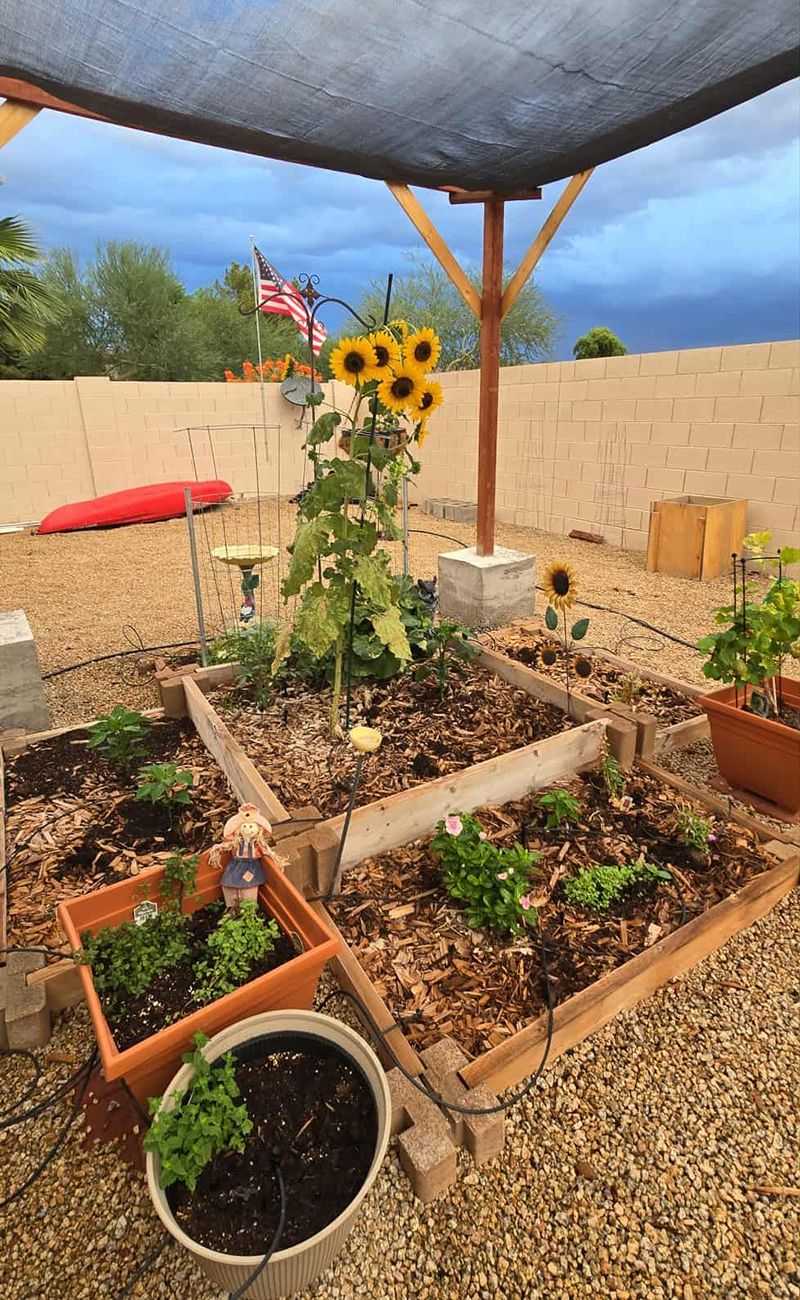 Give Plants Afternoon Shade
