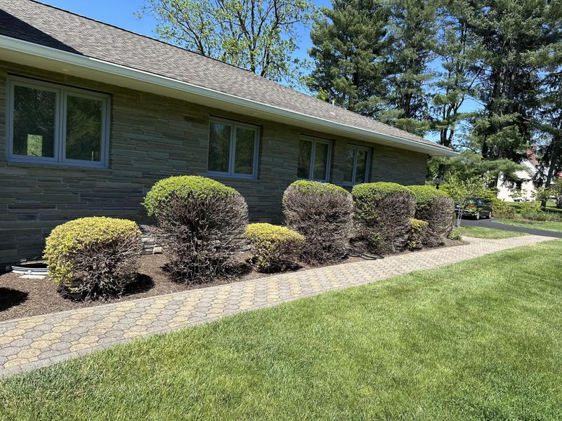 Give Salt-Stressed Shrubs A Little Help Before Winter