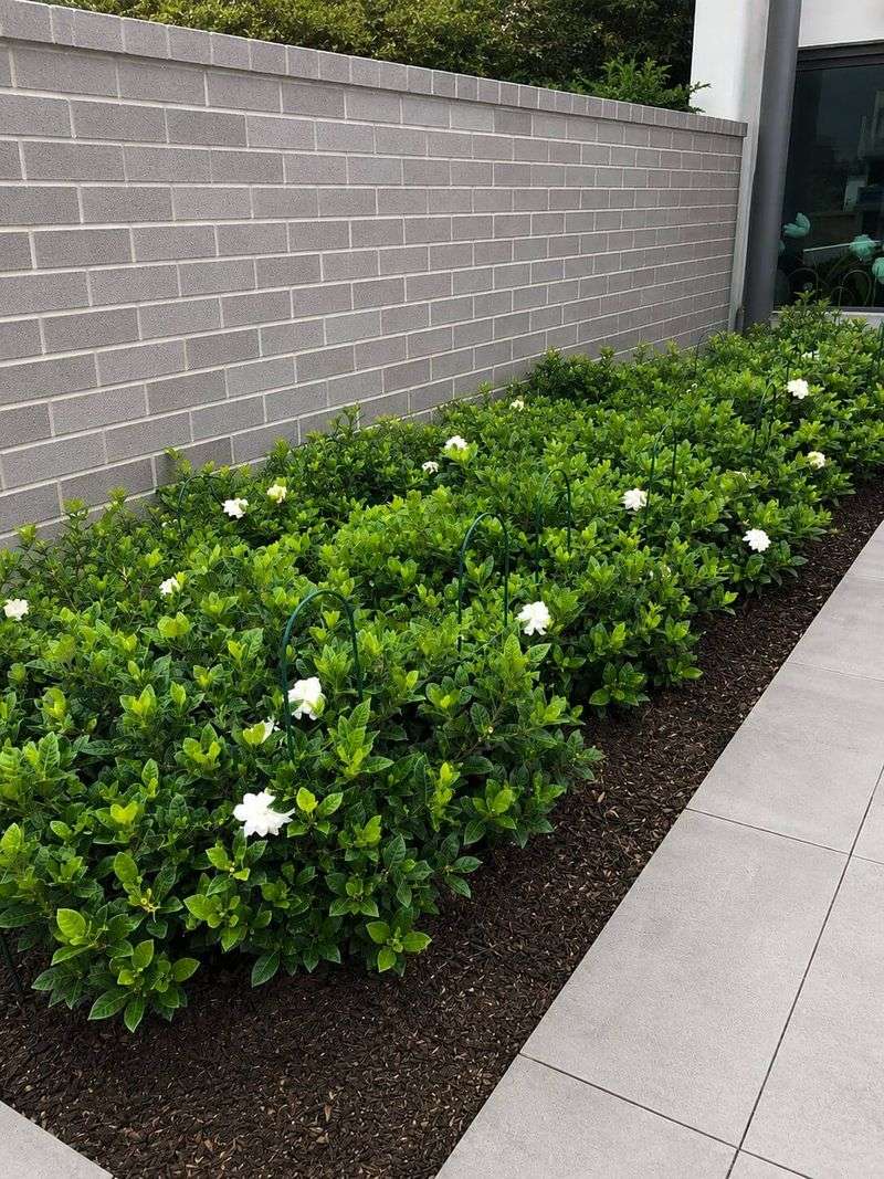 Give Sandy Florida Soil A Closer Moisture Check