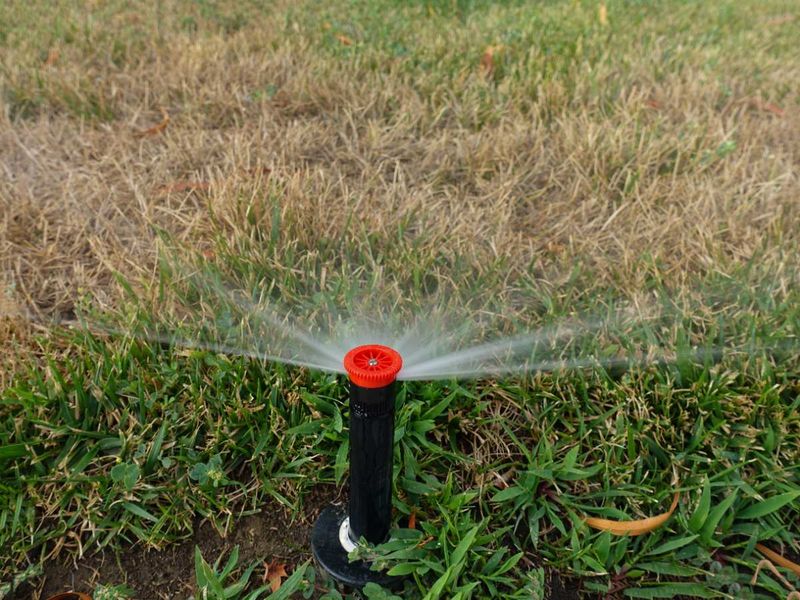 Give Your Drought-Stressed Grass The Right Water Boost Give Your Drought-Stressed Grass The Right Water Boost