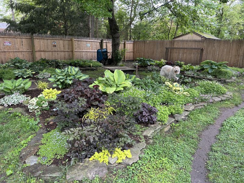 Give Your Shrub’s Soil A Fall Fix