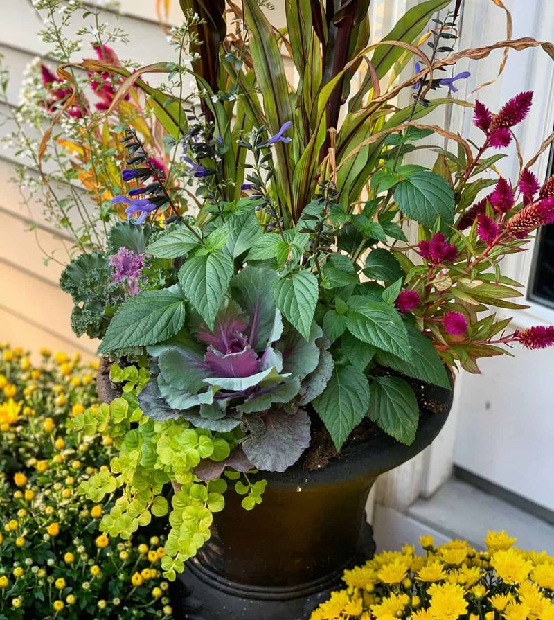 Give the container relief from afternoon heat