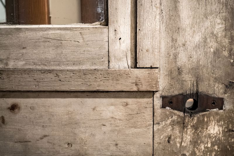 Gnawed Edges On Wooden Doors And Frames Gnawed Edges On Wooden Doors And Frames