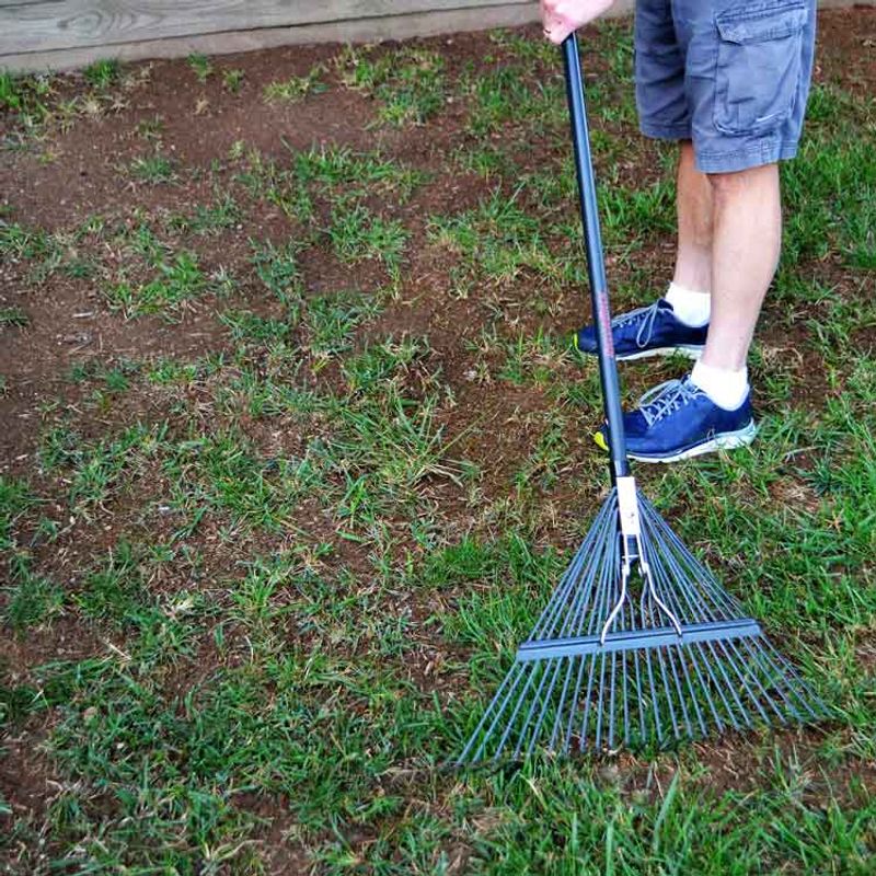 Good Seed-To-Soil Contact Is Essential