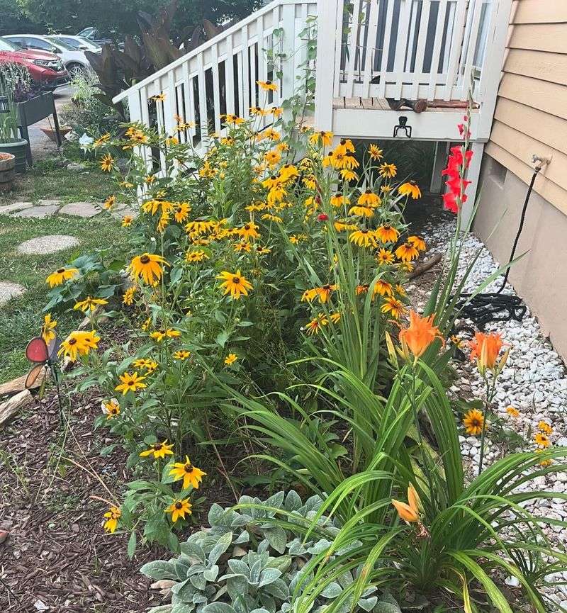 Grab Blanket Flower For Long-Lasting Fall Color Grab Blanket Flower For Long-Lasting Fall Color