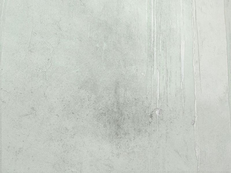 Greasy Smudge Marks Along The Walls Greasy Smudge Marks Along The Walls