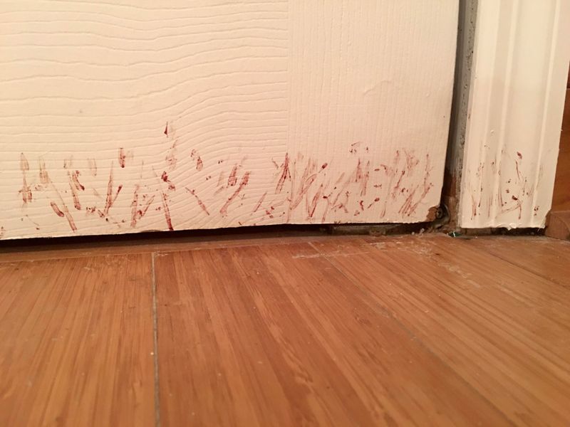 Greasy Smudges That Mark A Secret Highway
