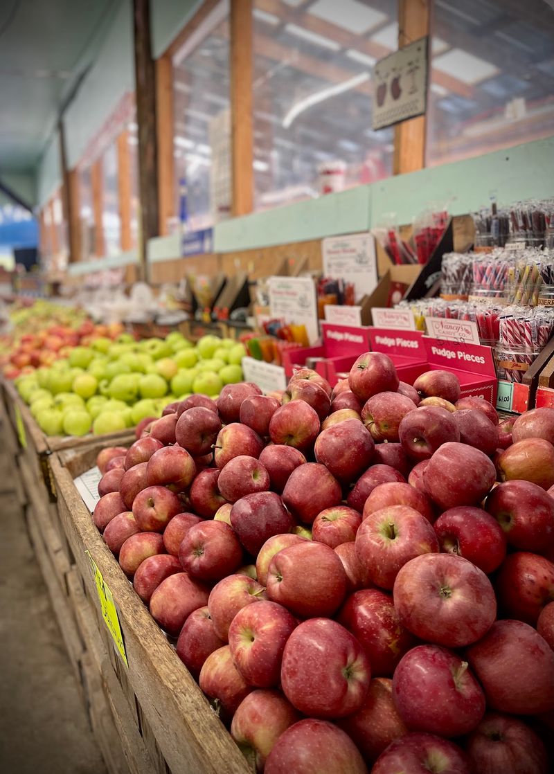 Gross' Orchard, Ahead Of Its Busy Harvest Festival Saturday Gross' Orchard, Ahead Of Its Busy Harvest Festival Saturday