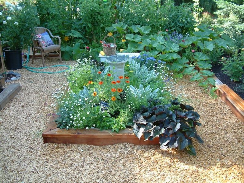 Group Plants By Water Need, Not Just Looks