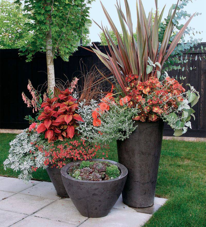 Group Pots Together For Shared Warmth