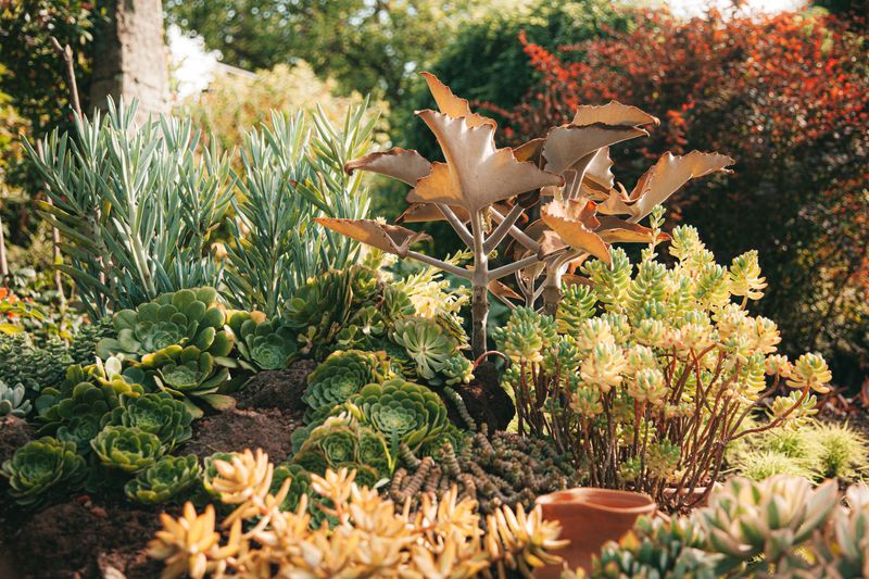 Group Thirsty Plants Together And Let The Rest Fend For Themselves Group Thirsty Plants Together And Let The Rest Fend For Themselves