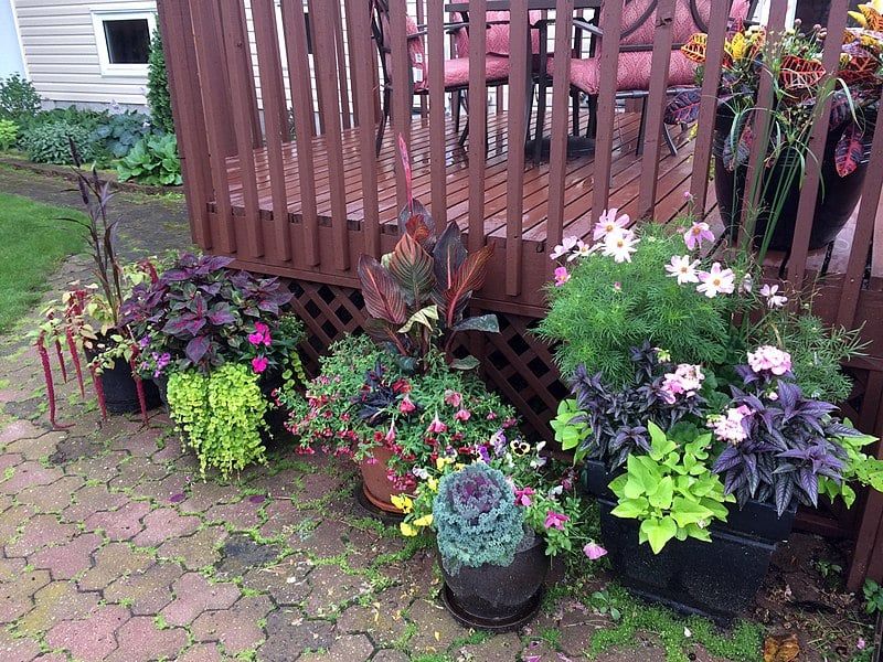 Grouping Pots Together Reduces Water Loss