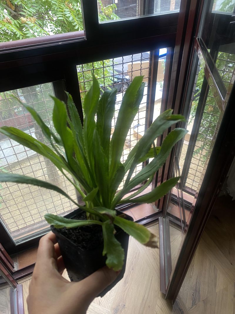 Grow It In Containers When Garden Soil Gets Tricky Grow It In Containers When Garden Soil Gets Tricky