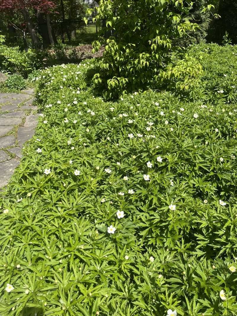 Guard Against Erosion On Slopes And Open Beds Guard Against Erosion On Slopes And Open Beds