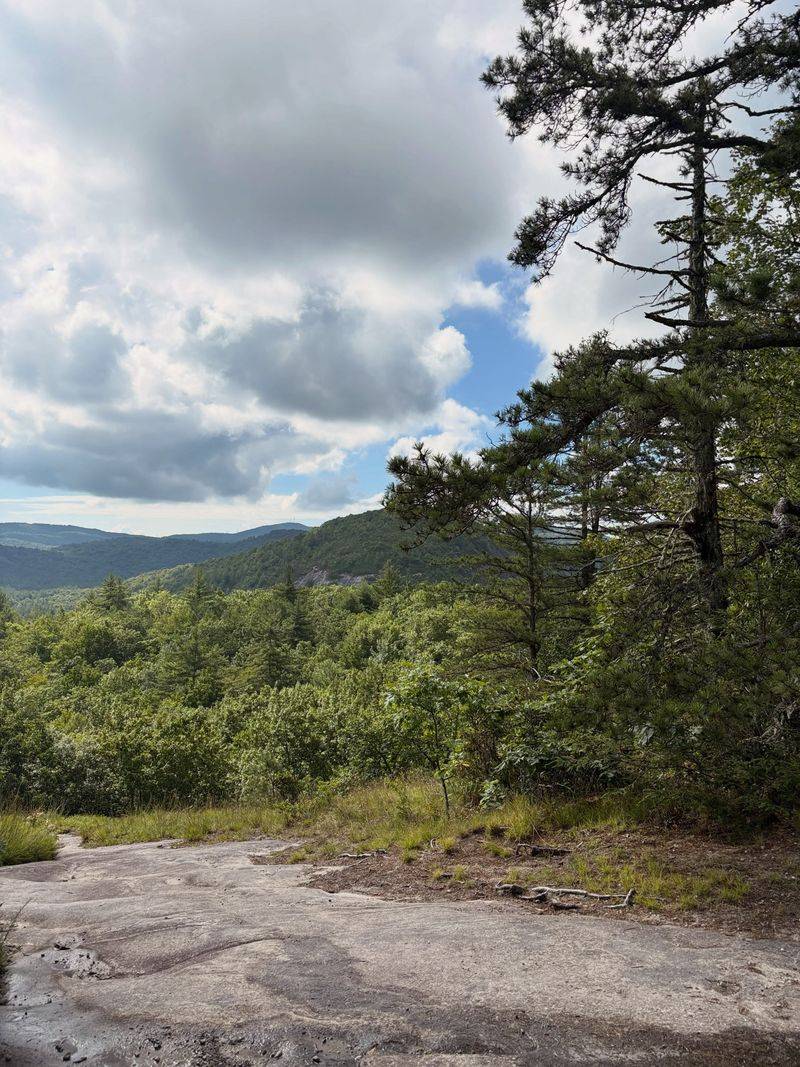 Habitat Care And Long-Term Protection