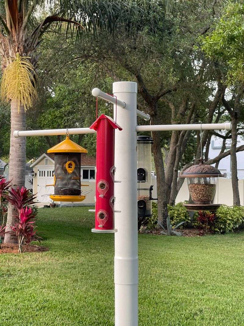 Hang Your Bird Feeder At The Right Height To Block Rats Hang Your Bird Feeder At The Right Height To Block Rats