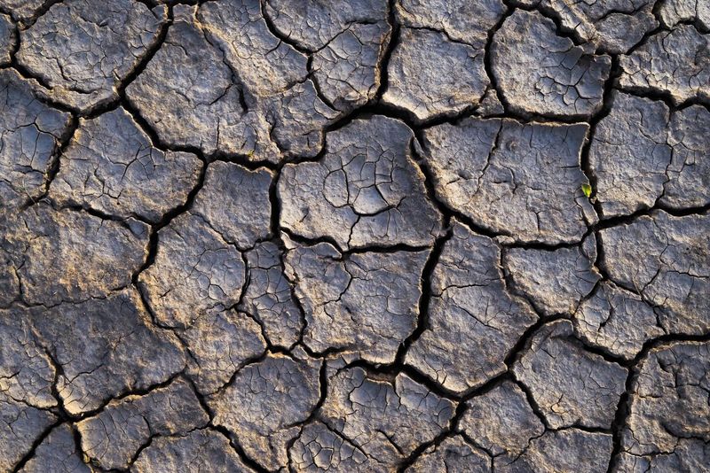Hard, Cracked Soil Means Moisture Is Running Low