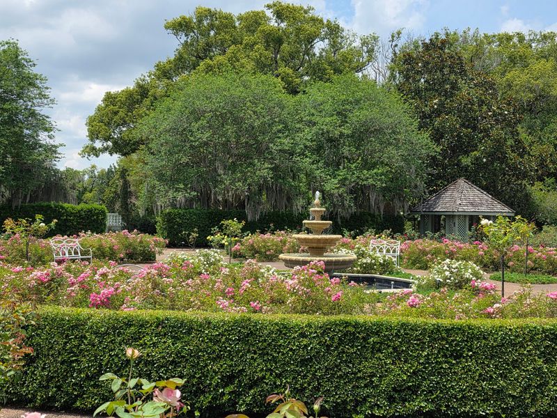 Harry P. Leu Gardens Turns Fall Into A Botanical Showcase