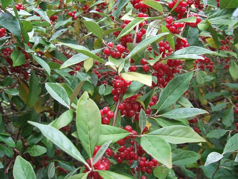Harvest Habits That Help Slow The Spread Harvest Habits That Help Slow The Spread