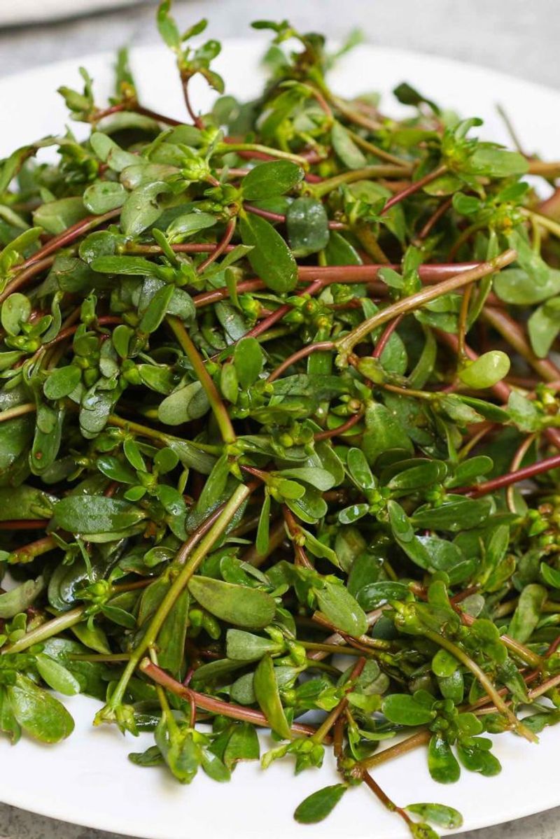 Harvest tender leaves and stems for raw or cooked dishes Harvest tender leaves and stems for raw or cooked dishes