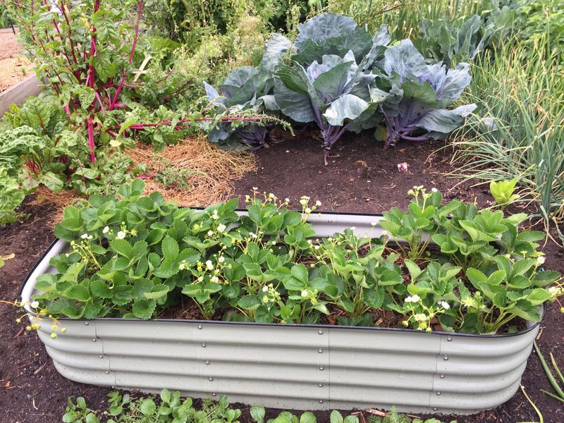 Harvested Beds Turned Into Open Real Estate