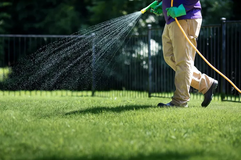 Healthy, Actively Growing Turf Can Better Resist Rust Problems